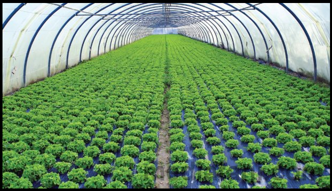 prinsip agroindustri adalah prinsip agroindustri adalah