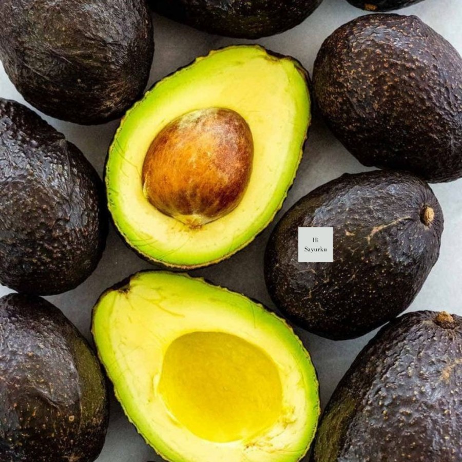 alpukat hass