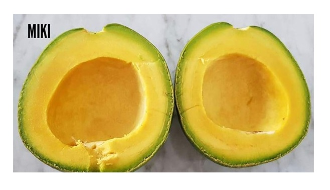 alpukat miki alpukat miki