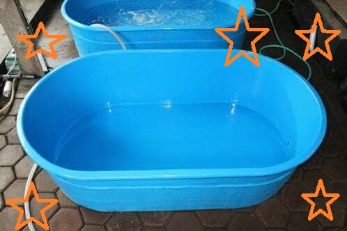 kolam ikan fiber bentuk oval kolam ikan fiber bentuk oval