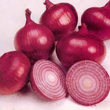 bawang bombay merah bawang bombay merah
