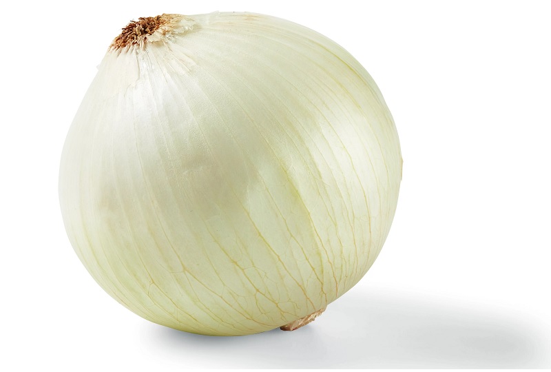 bawang bombay putih bawang bombay putih