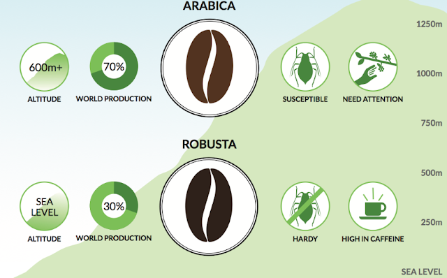 perbedaan kopi robusta dan arabika perbedaan kopi robusta dan arabika