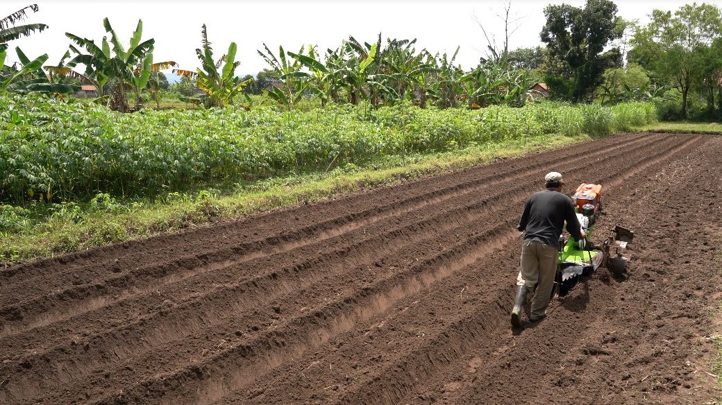 bedengan adalah bedengan adalah