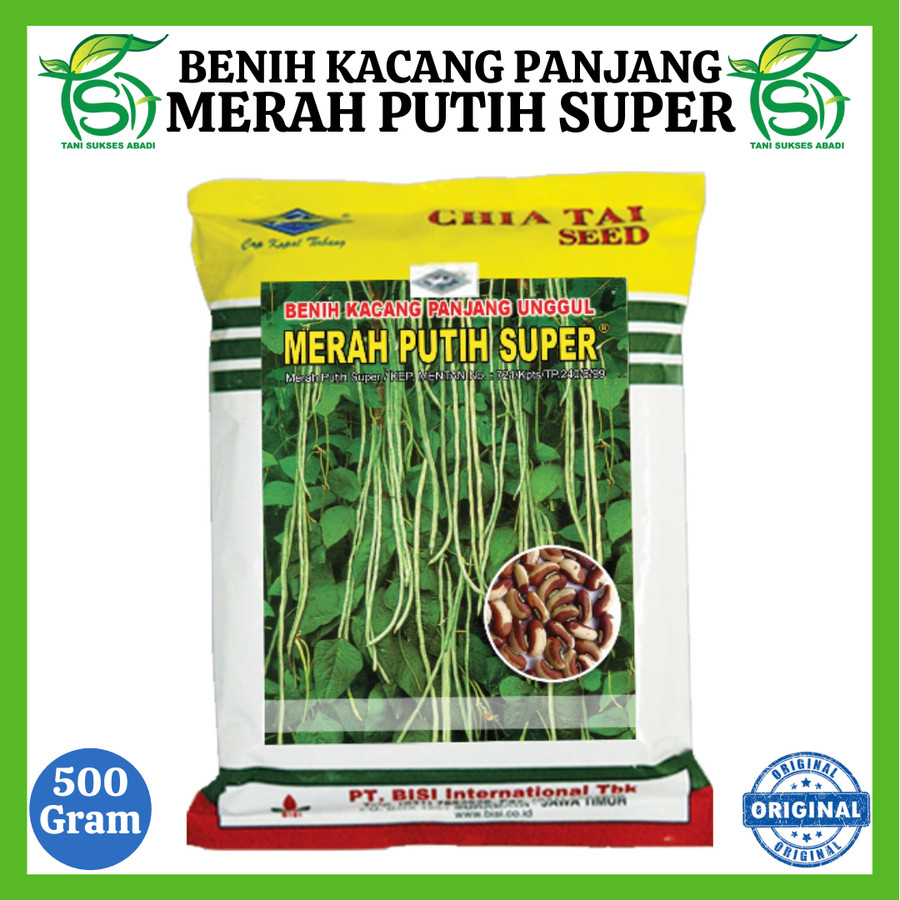 benih kacang panjang