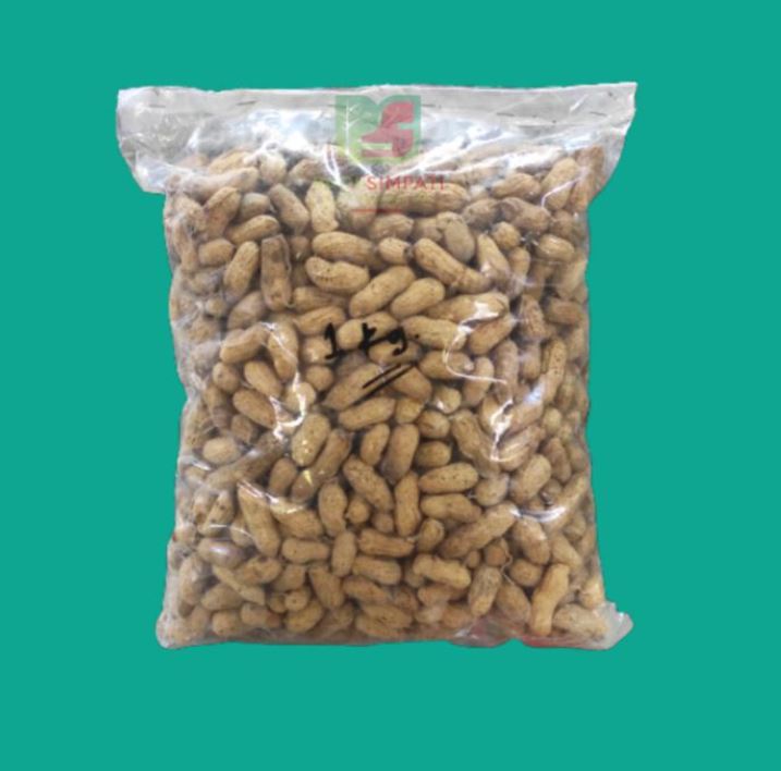 bibit kacang tanah bibit kacang tanah