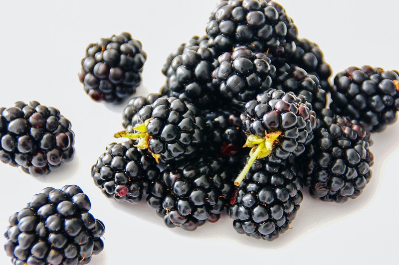 buah-yang-mengandung-protein-blackberry buah-yang-mengandung-protein-blackberry