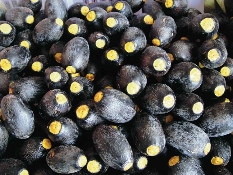 buah-dabai buah-dabai