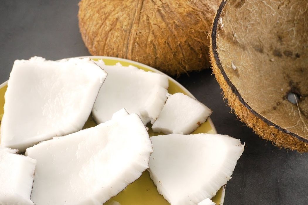 peluang usaha buah kelapa tua peluang usaha kelapa tua