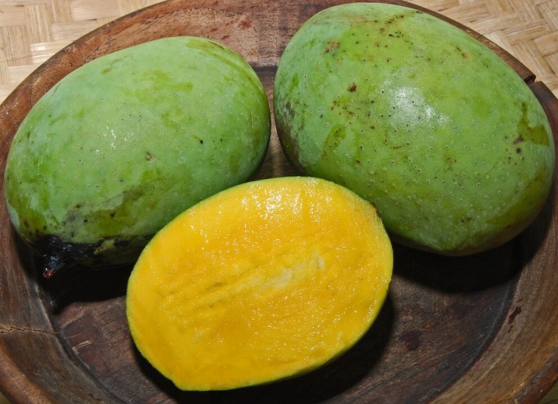 manfaat-buah-kweni manfaat-buah-kweni