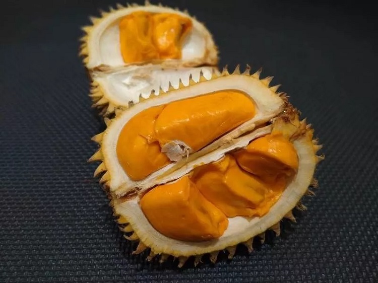 buah-lai buah-lai