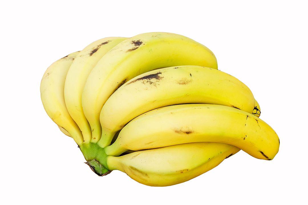 buah pisang buah pisang
