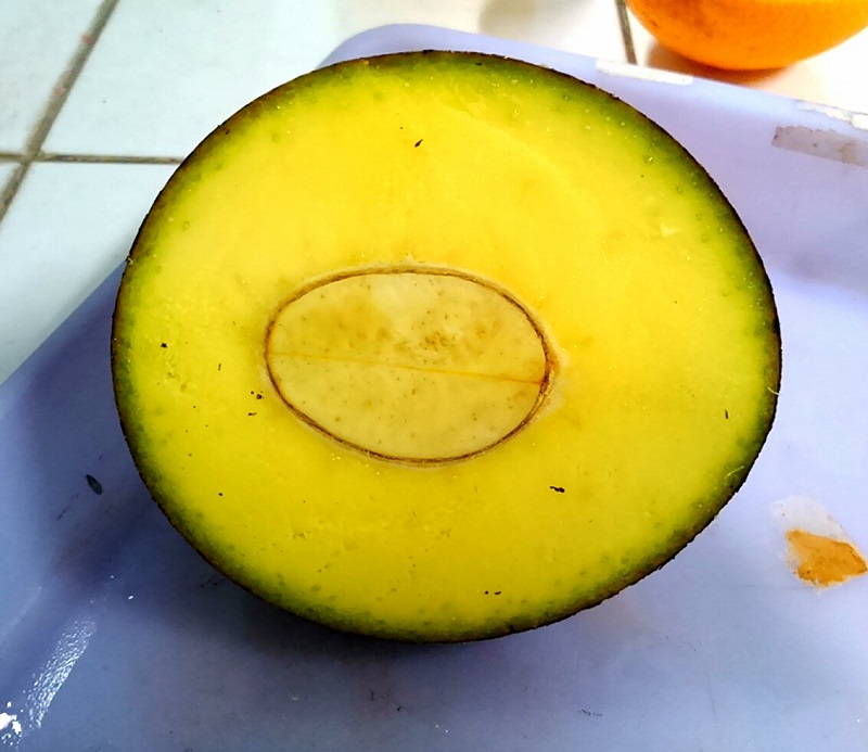 buah-bacang buah-bacang