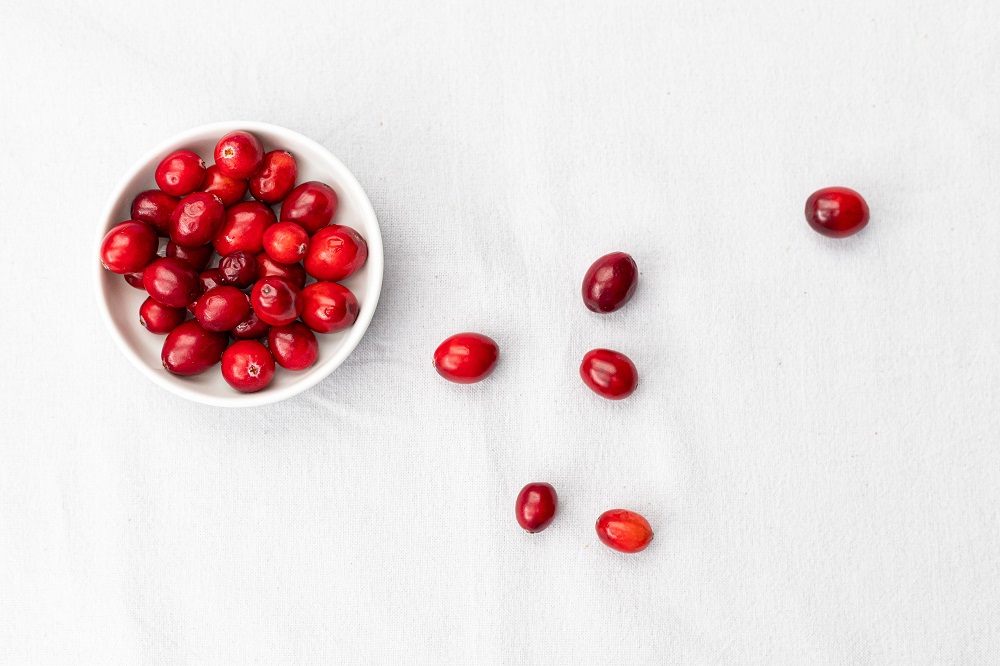 buah cranberry buah cranberry
