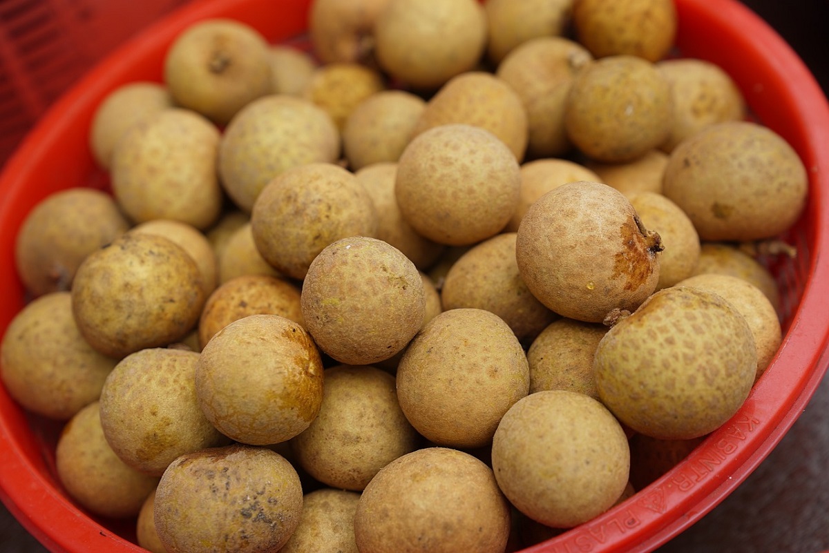 manfaat-buah-langsat manfaat-buah-langsat