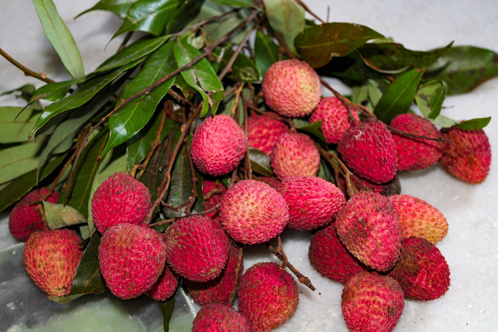 buah leci buah leci
