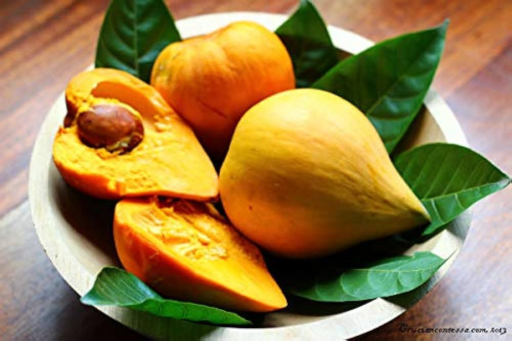 manfaat-buah-alkesa manfaat-buah-alkesa