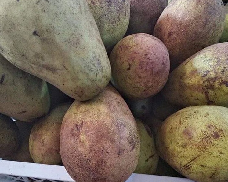 buah binjai buah binjai