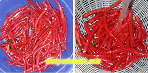 usaha bumbu giling