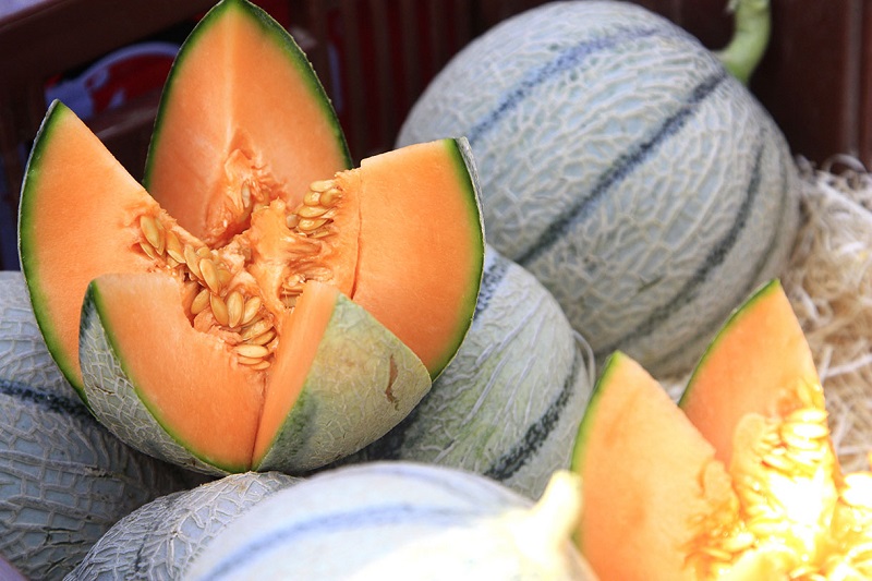 cavaillon-melon cavaillon-melon