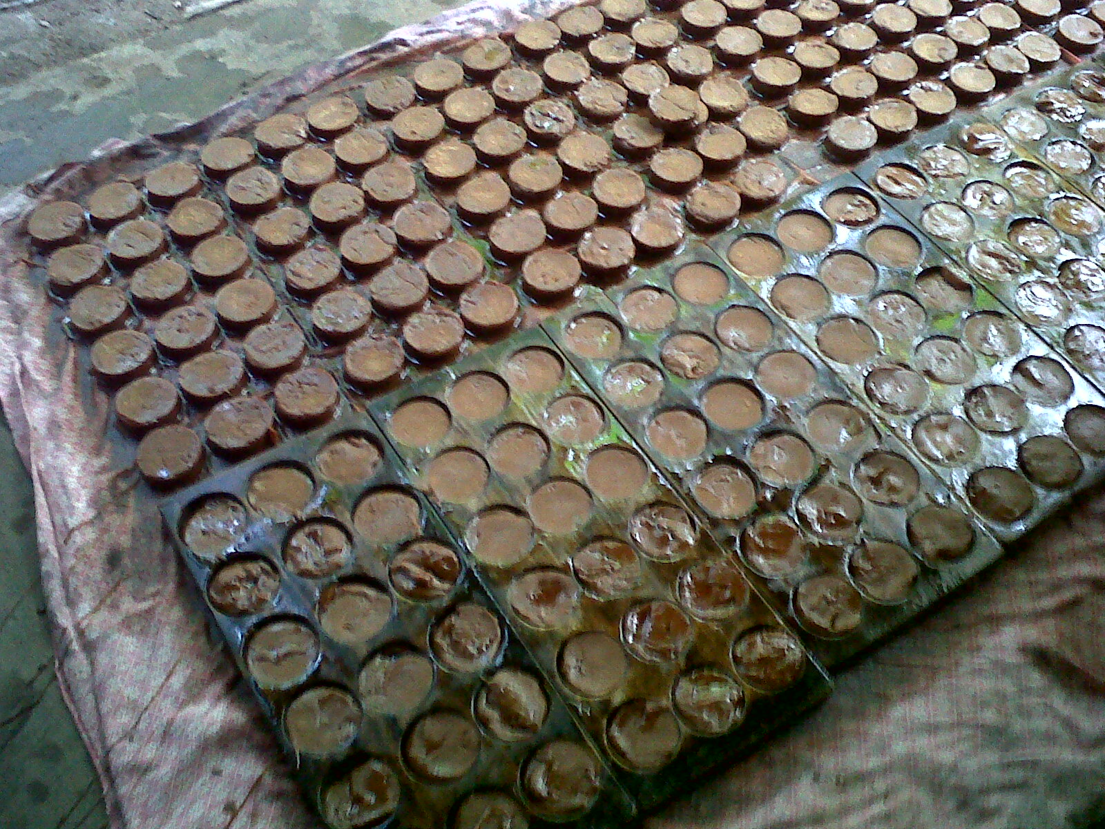 membuat gula merah membuat gula merah