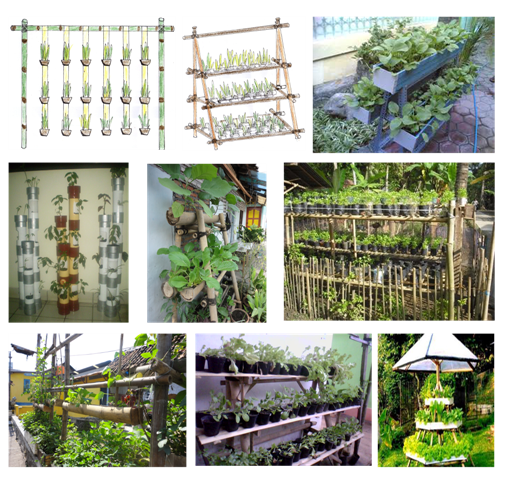 contoh tanaman vertikultur contoh tanaman vertikultur