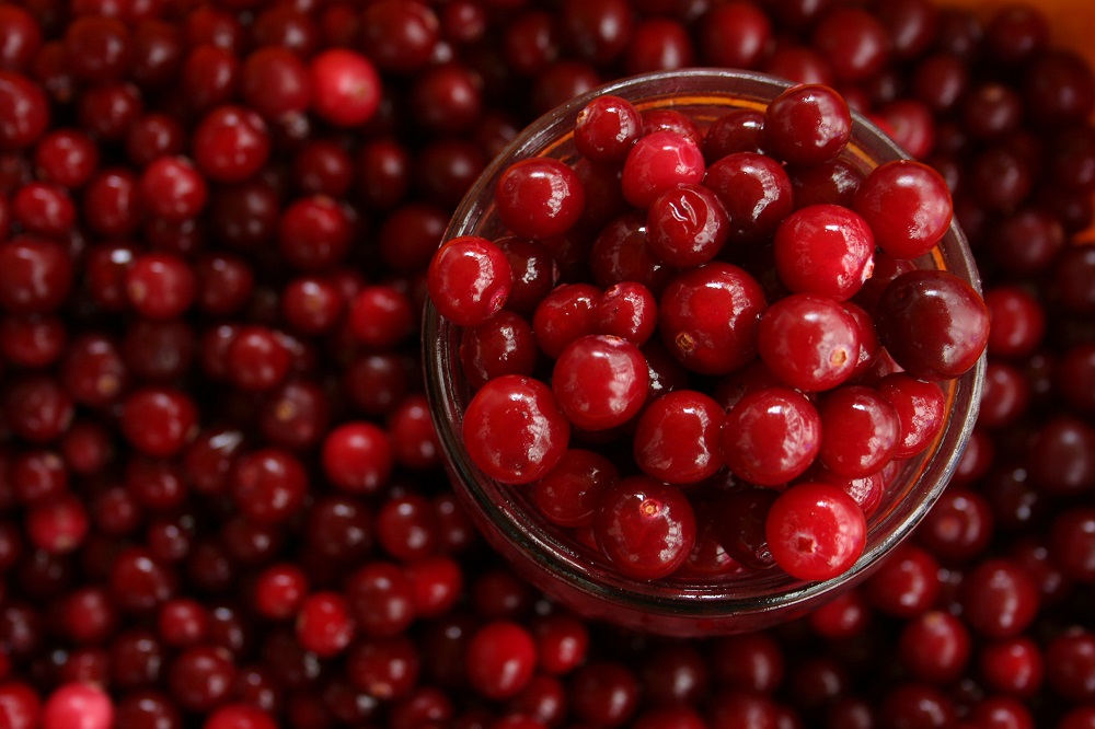 buah-cranberry buah-cranberry