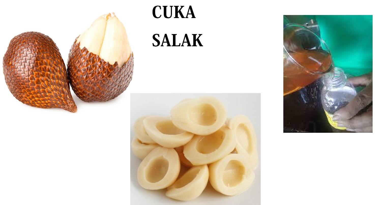 cuka salak cuka salak