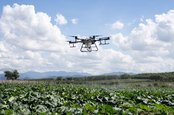 drone murah drone murah pertanian