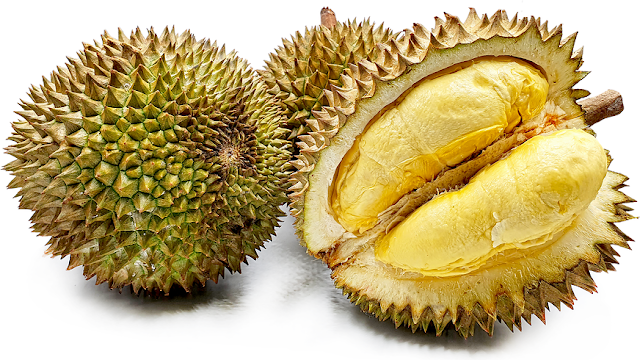 durian kan yao durian termahal di dunia durian kan yao