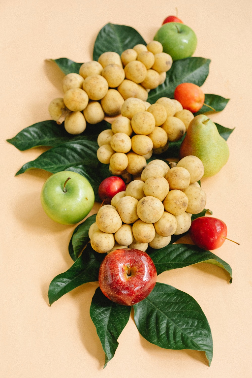 bahaya-buah-langsat bahaya-buah-langsat
