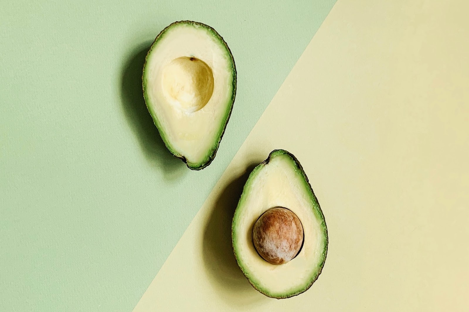 buah alpukat buah alpukat