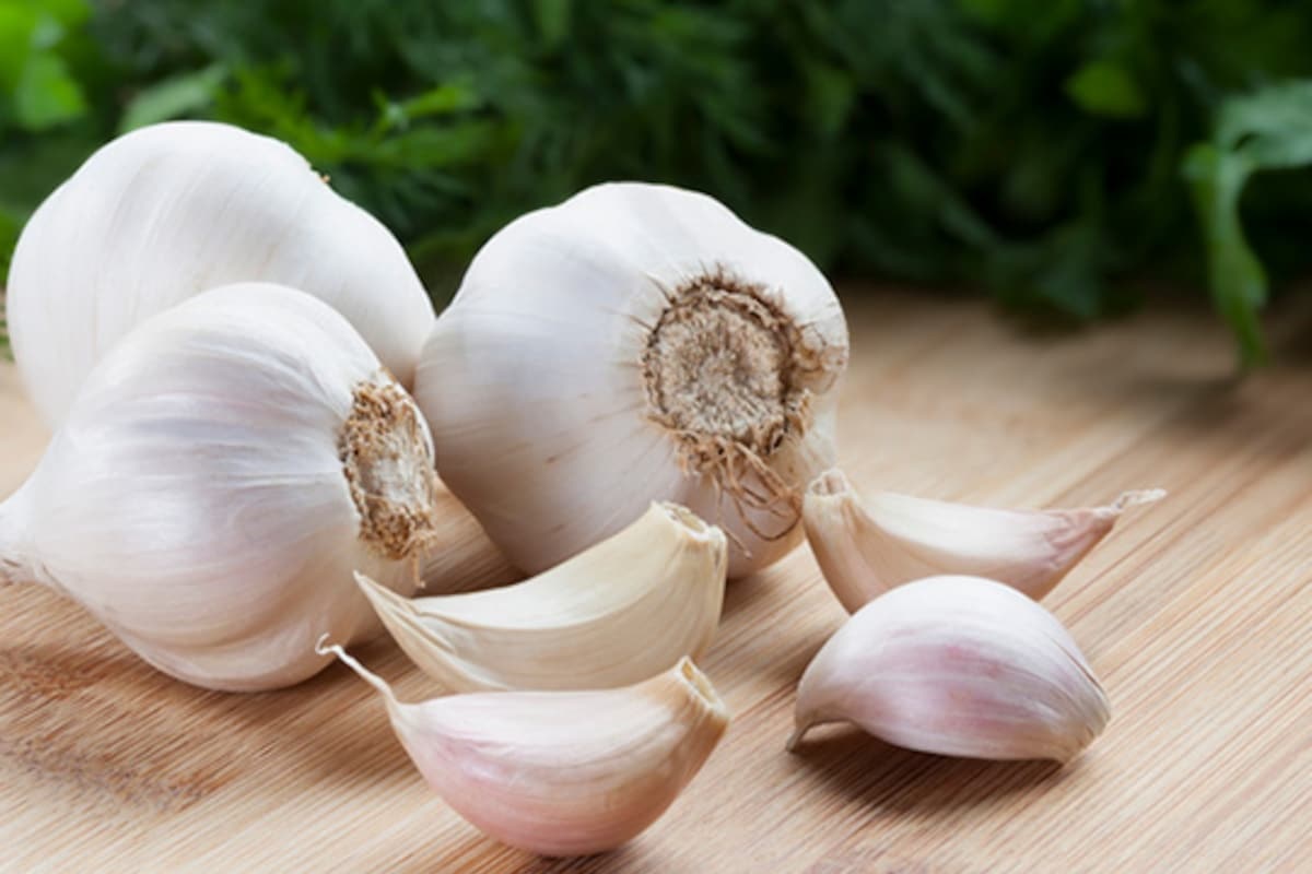 gambar bawang putih gambar bawang putih