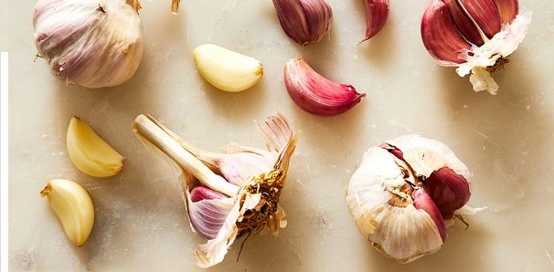 gambar bawang putih dan gambar bawang merah gambar bawang putih dan gambar bawang merah