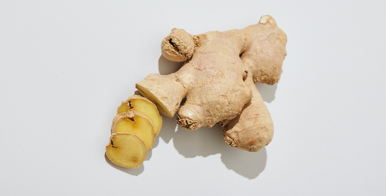 gambar jahe gambar jahe