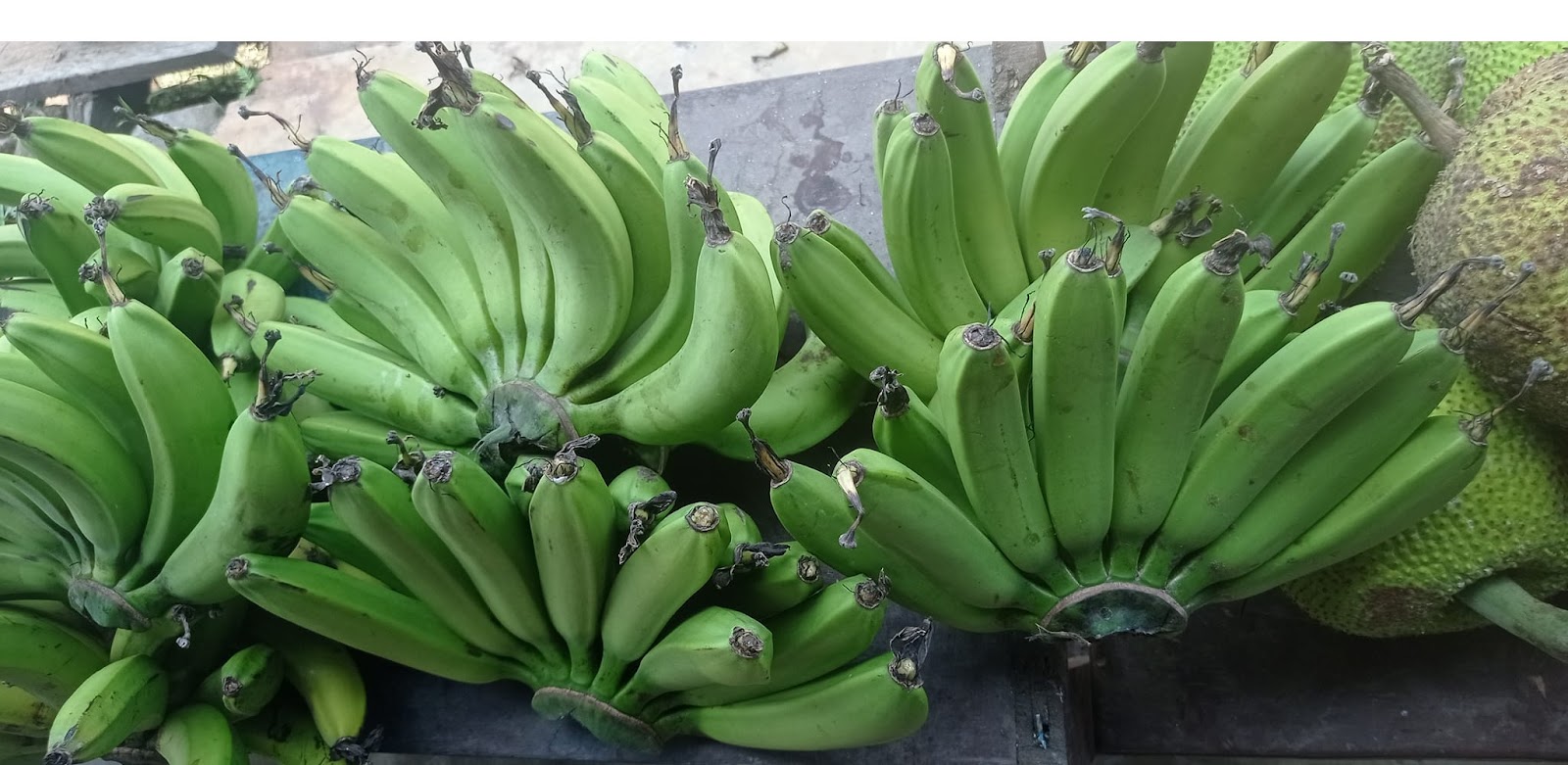 buah pisang goroho gambar buah pisang : goroho