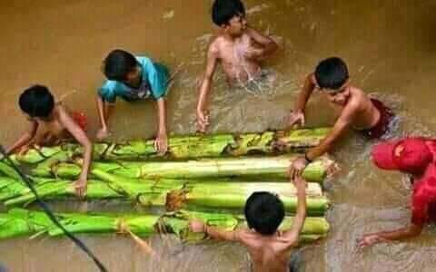 gambar gedebog pisang