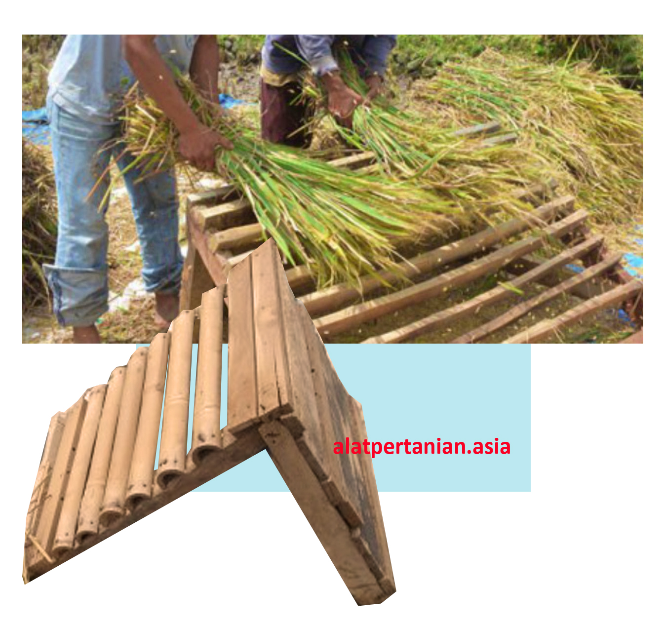 jual gejerag / gebotan / gebyok padi