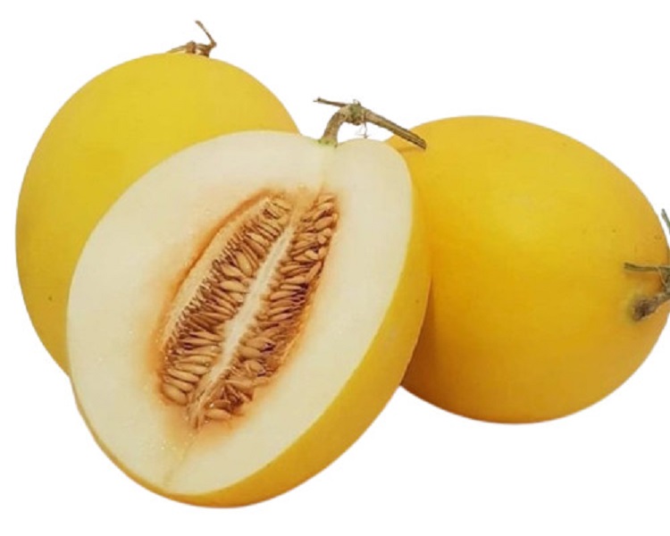 golden-melon golden-melon