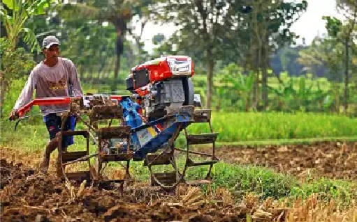 hand traktor sawah hand traktor sawah