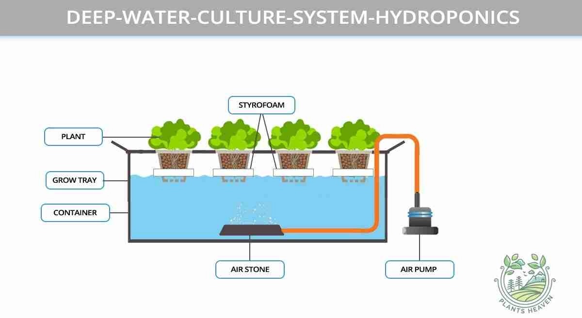 hidrponik deep well culture hidroponik rakit apung
