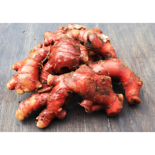 Manfaat Jahe Merah Manfaat Jahe Merah