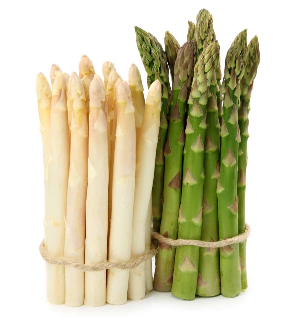 jenis asparagus