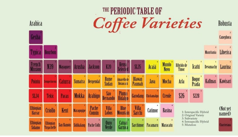 jenis kopi jenis kopi