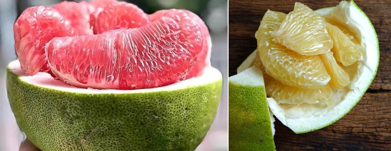 jenis jeruk bali jenis jeruk bali