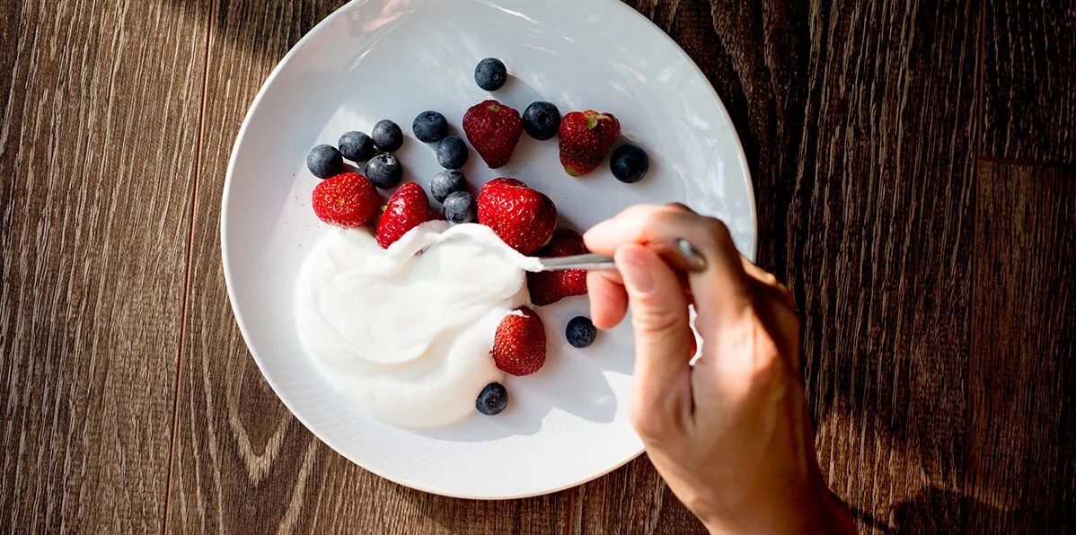 jenis yogurt jenis yogurt