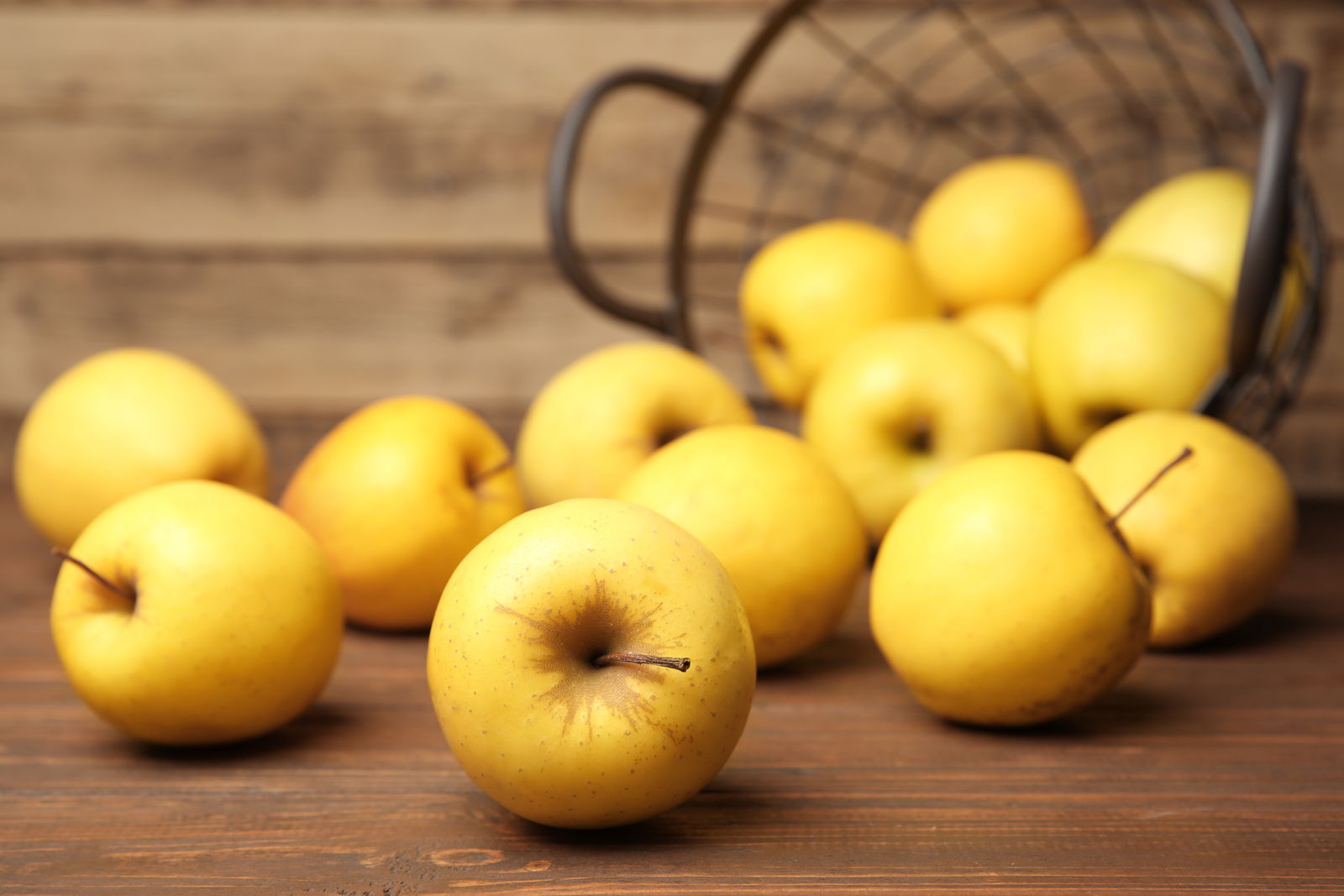 gambar-buah-apel-golden-delicious gambar-buah-apel-golden-delicious