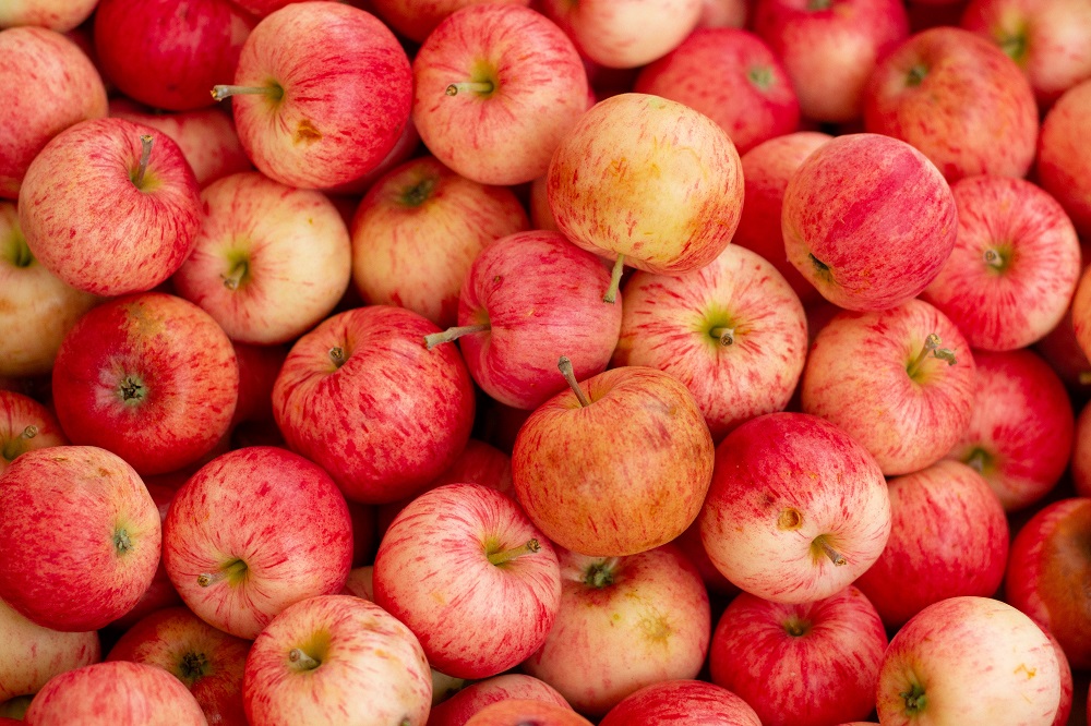 gambar-buah-apel-royal-gala gambar-buah-apel-royal-gala