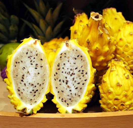 Buah Naga Kuning