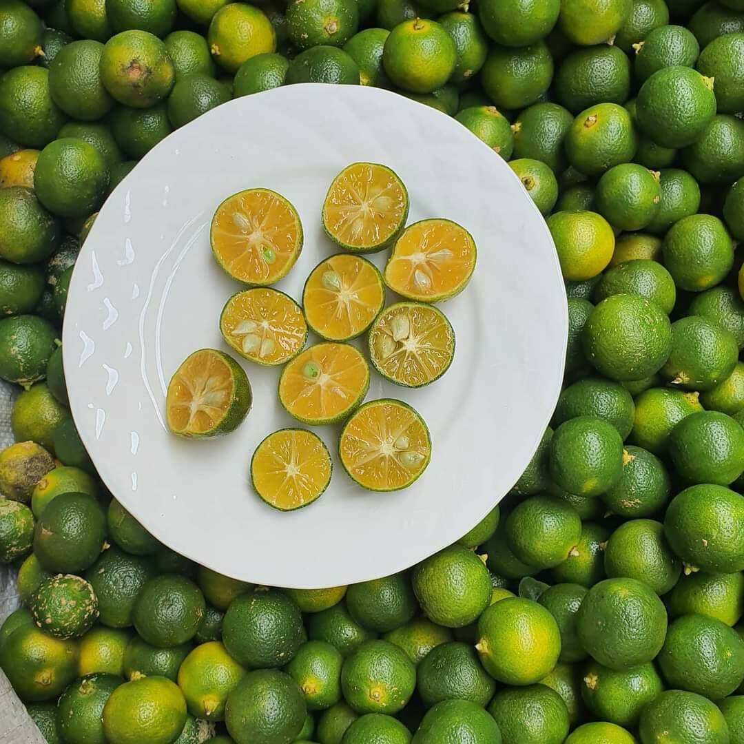 jeruk kunci jeruk kunci